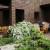 exterior, Ashwell-Higgs House - Alan James Architect